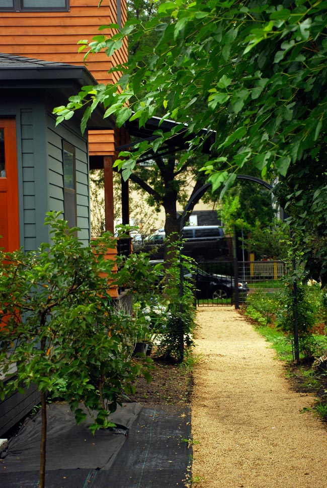 McBoal St. Apartments: The garden path